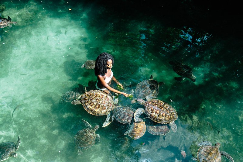 Mnemba Atoll