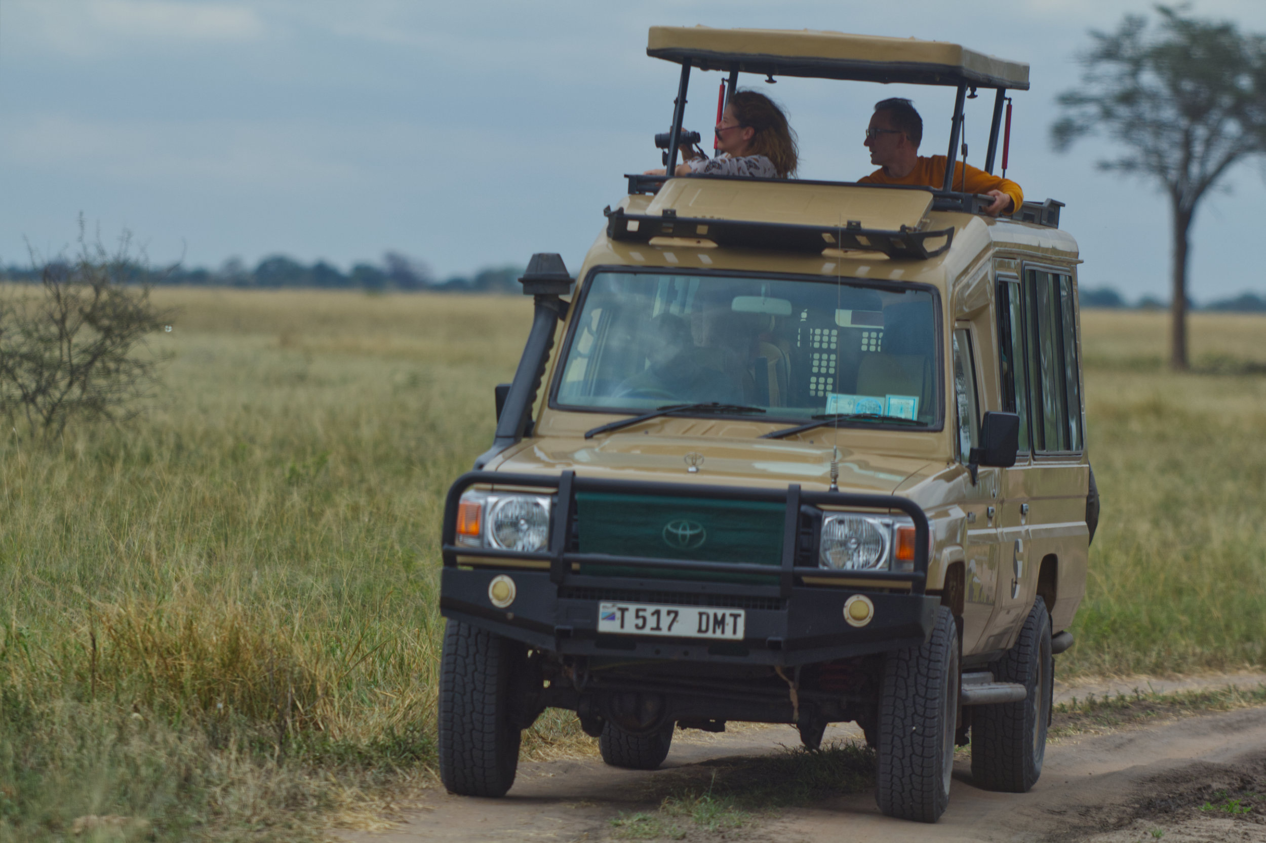 Conservation Efforts