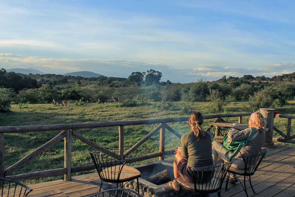 Immersive Safari
