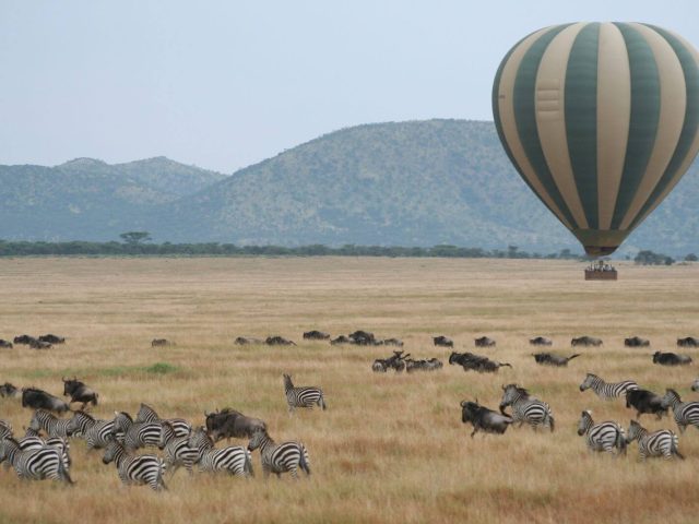 5-Day Serengeti Balloon Safari | Tanzania Adventure Tour with Hot Air Balloon Ride