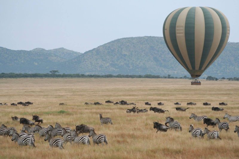 5-Day Serengeti Balloon Safari | Tanzania Adventure Tour with Hot Air Balloon Ride
