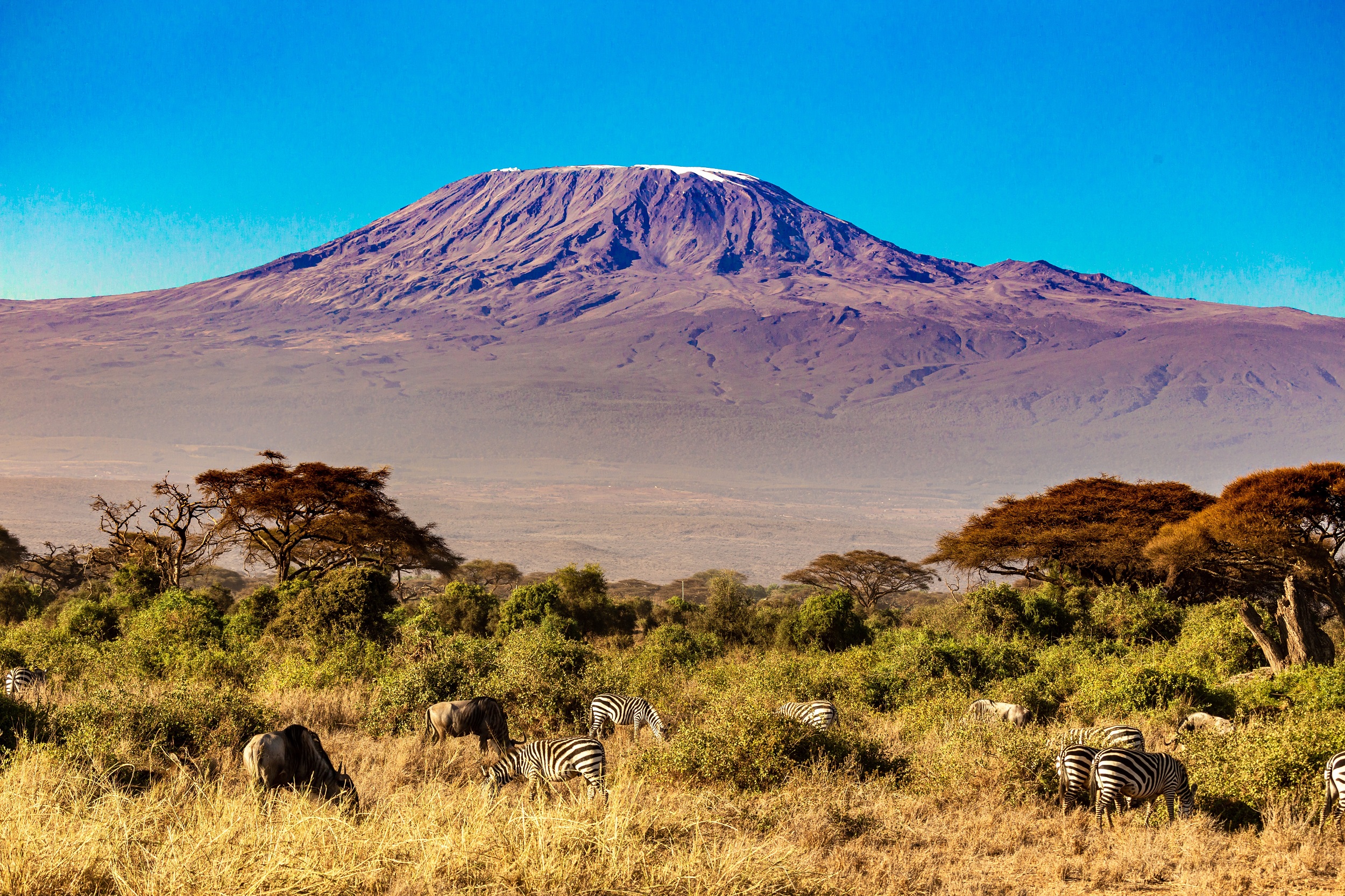 Mount Kilimanjaro as seen from Kilimanjaro National Park