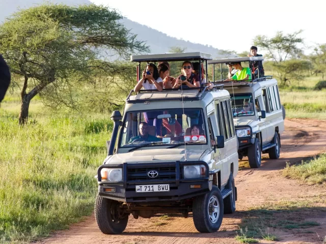 4 Days Serengeti National Park Safari in Tanzania