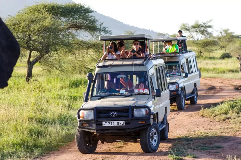 4 Days Serengeti National Park Safari in Tanzania